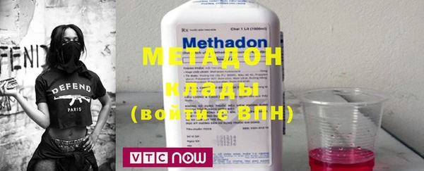 прущие грибы Алзамай