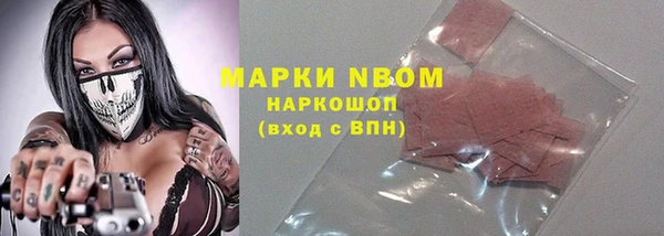 прущие грибы Алзамай