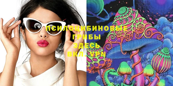 прущие грибы Алзамай